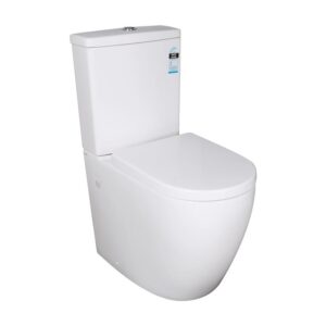 Btw Ambulant Box Rim Toilet Suite, Back Btw Ambulant Box Rim Toilet Suite, Back
